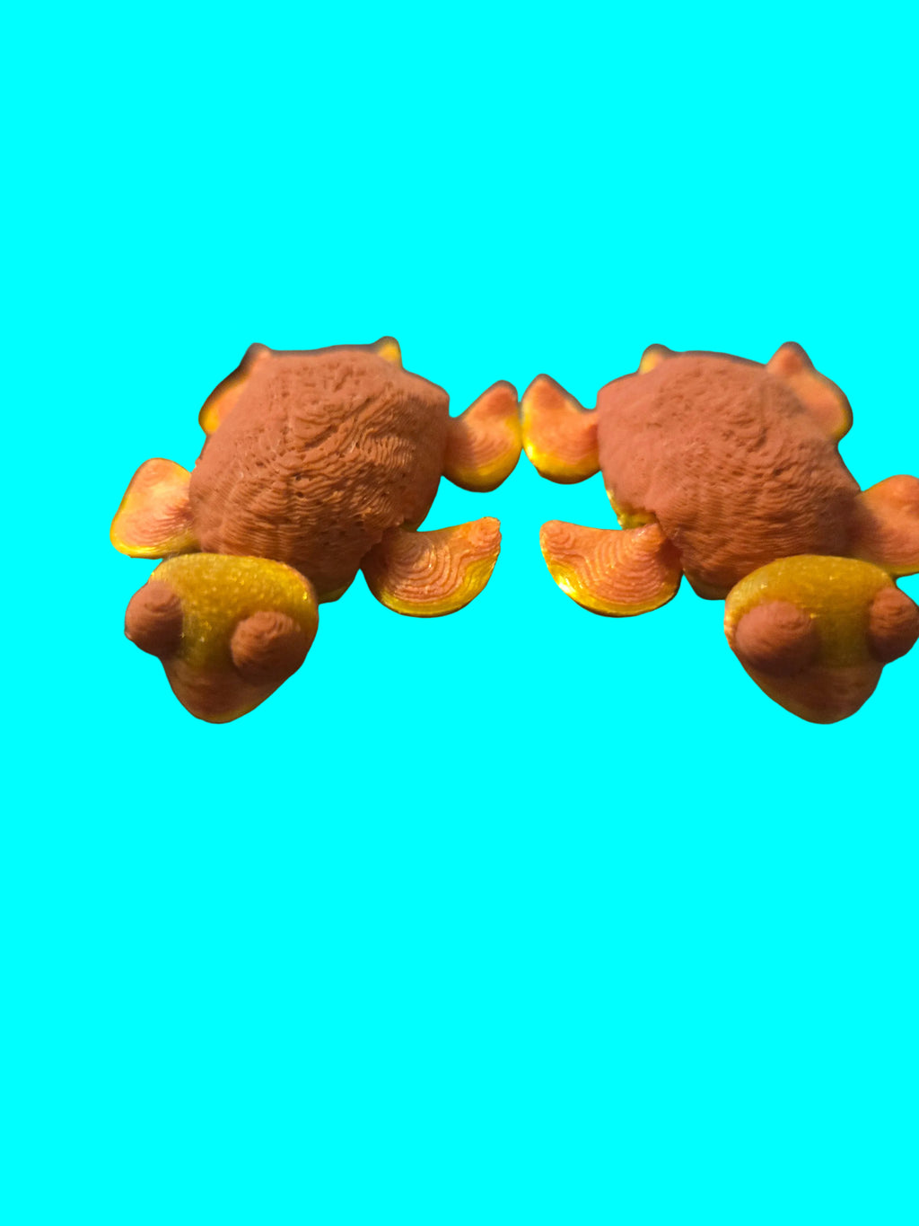 Sea creature bucket