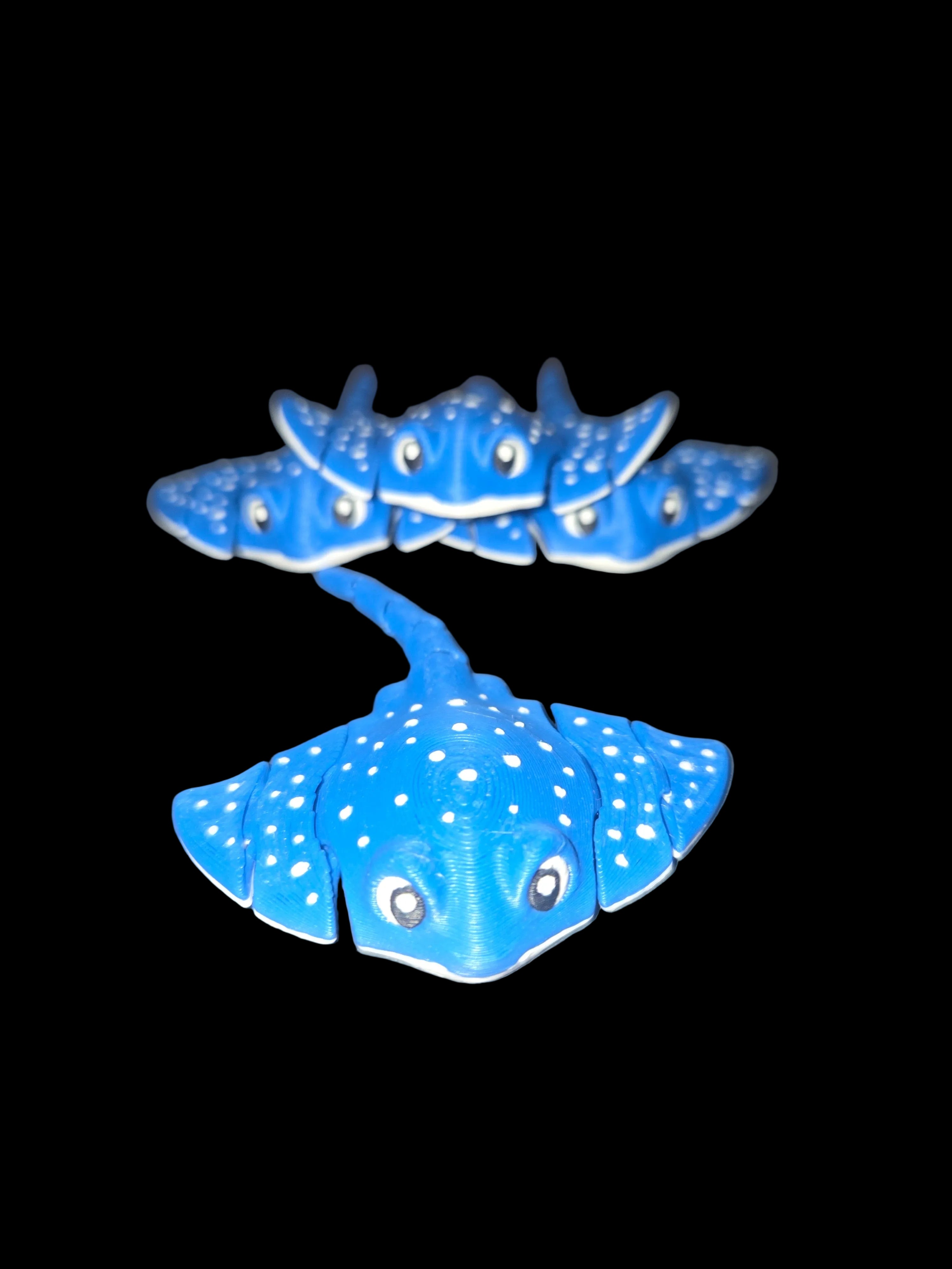 Adorable stingray