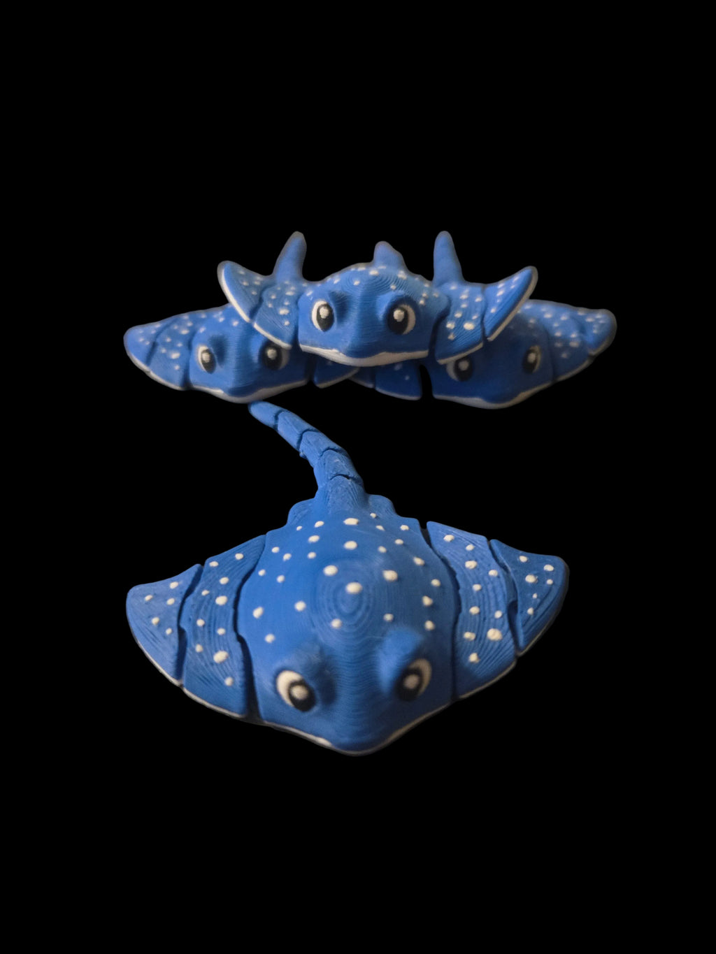Adorable stingray