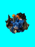 Sea creature bucket