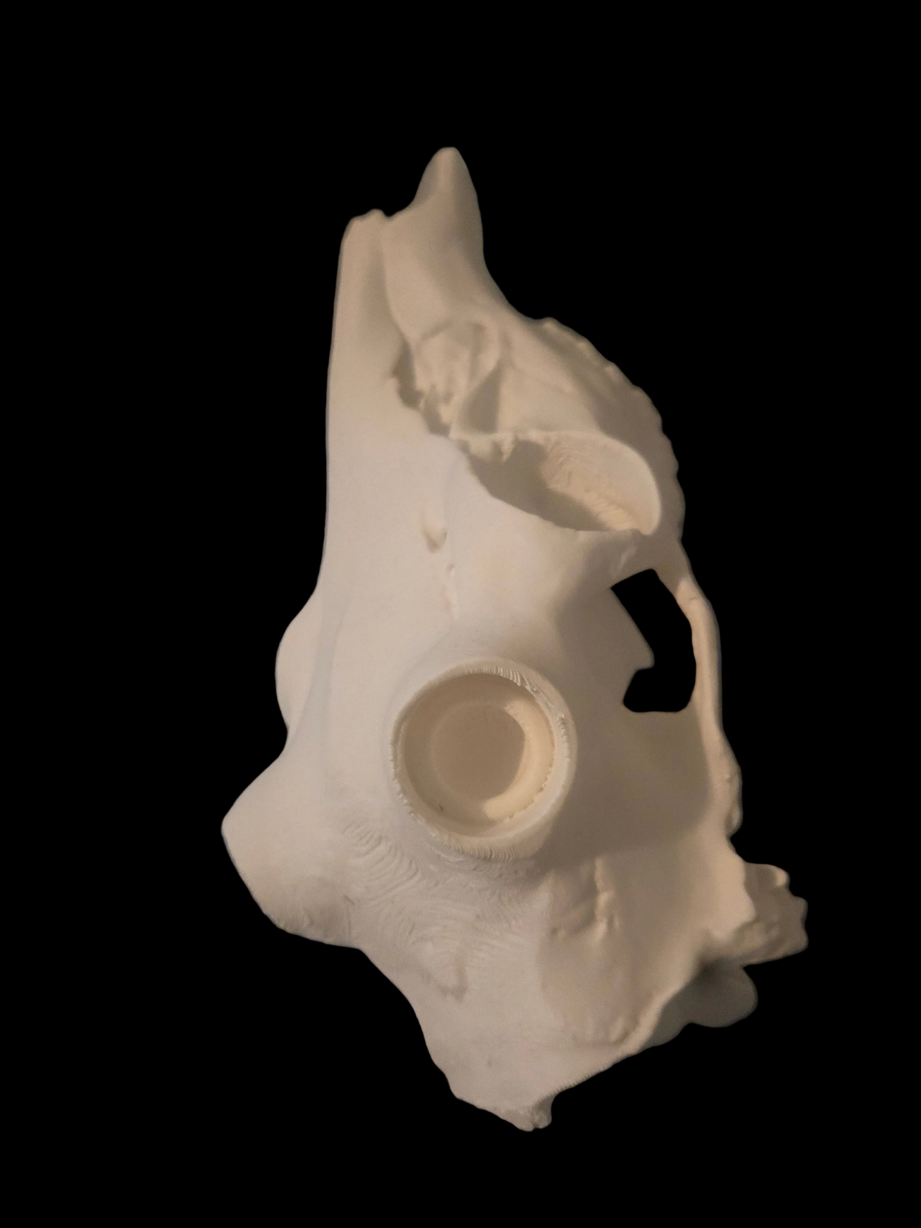 Deer antler euro mount