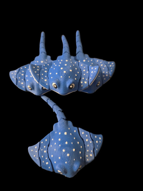 Adorable stingray