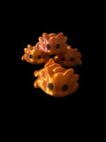 Axolotl mini flexi
